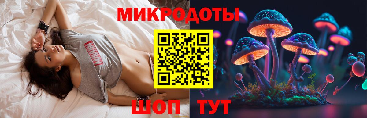 Псилоцибиновые грибы Psilocybe  Псилоцибиновые грибы мицелий  Вход с VPN  где продают   Людиново 